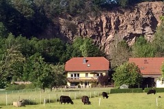 Ferienhaus idyllische Lage